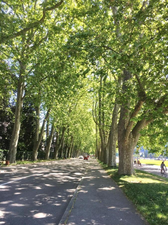 Annecy Center 2 Steps From The Lake Cozy And Renovated! Exteriör bild